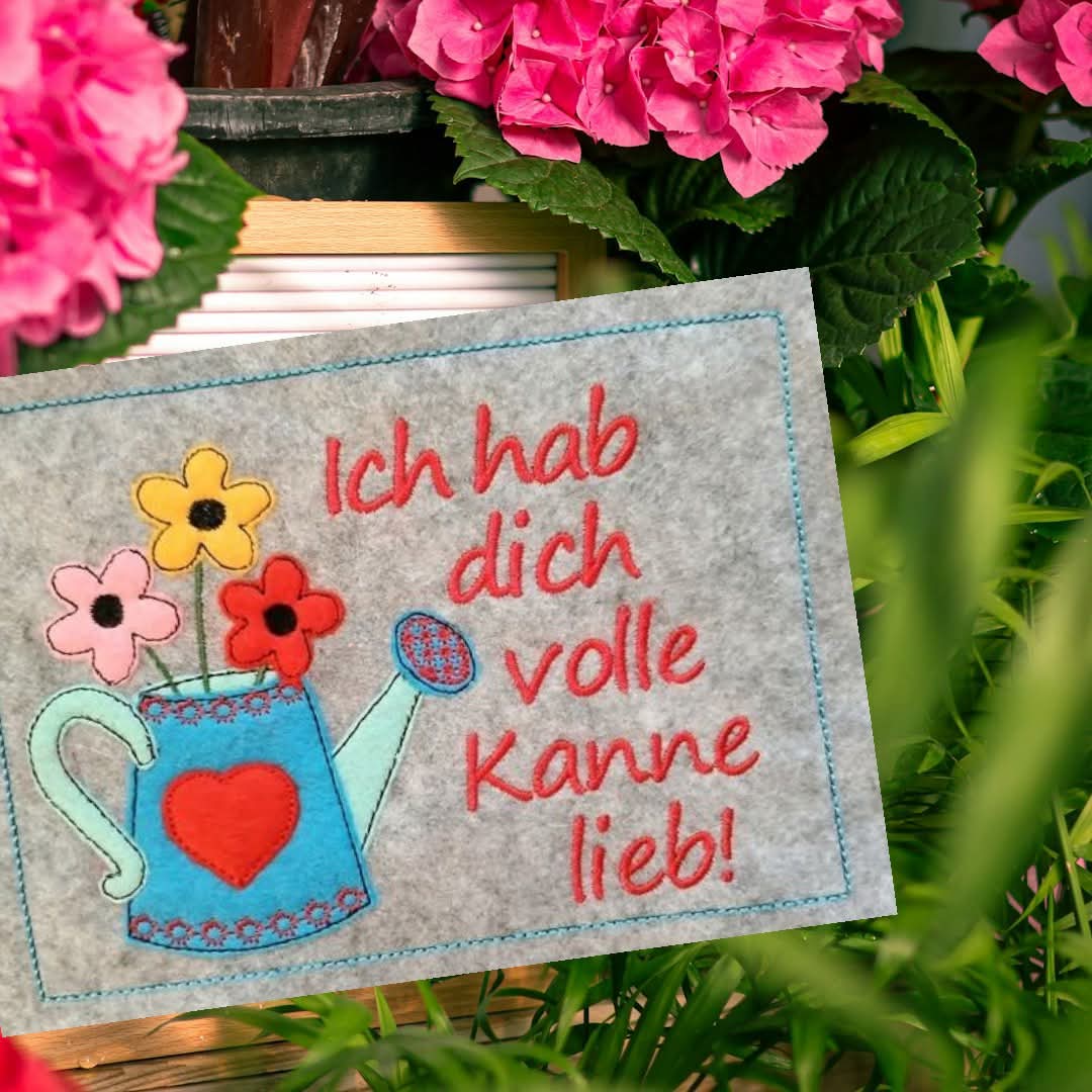 Schild Volle Kanne lieb in 13x18