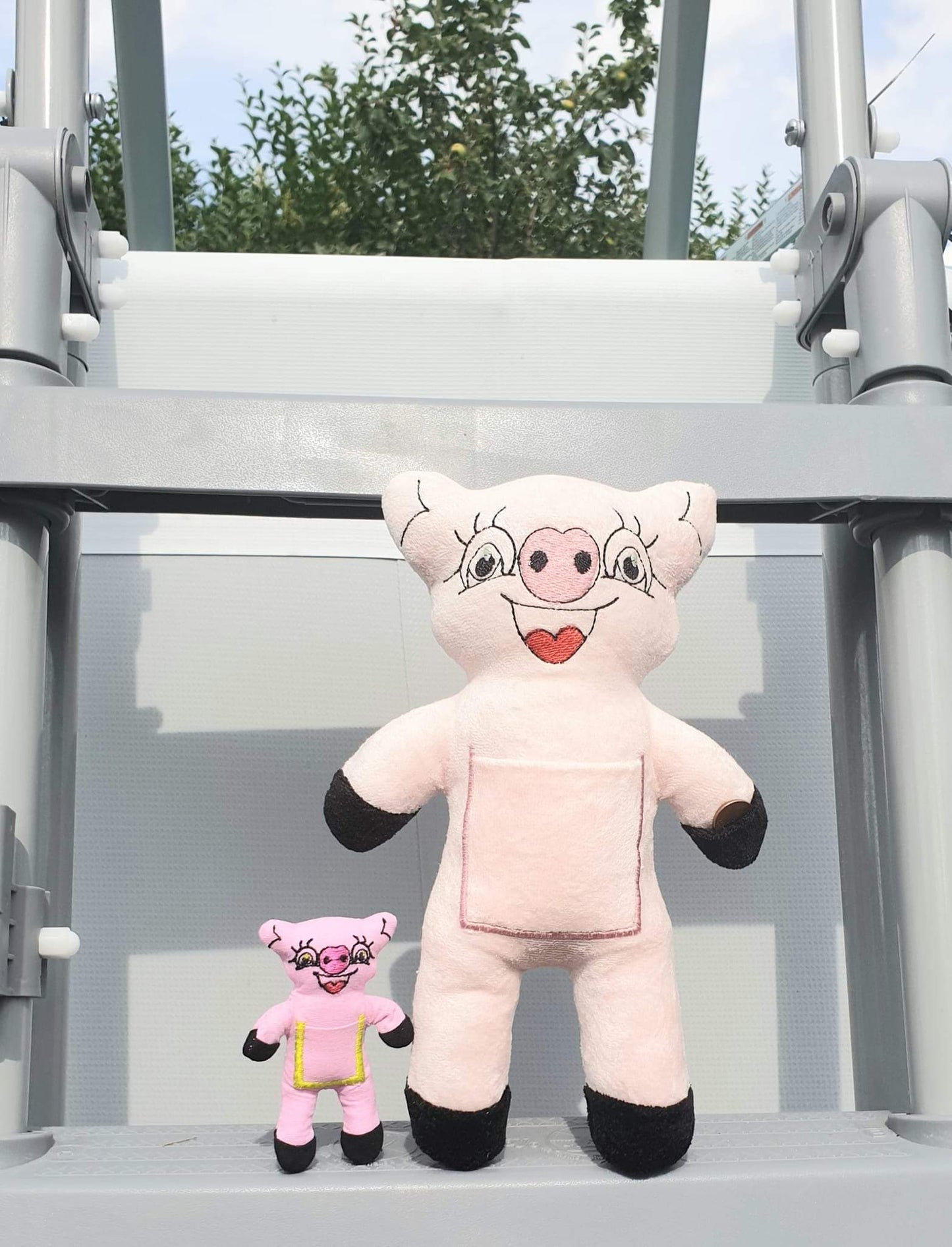 Teddy Schwein in 5 Grössen ab 10x10 bis 24x36